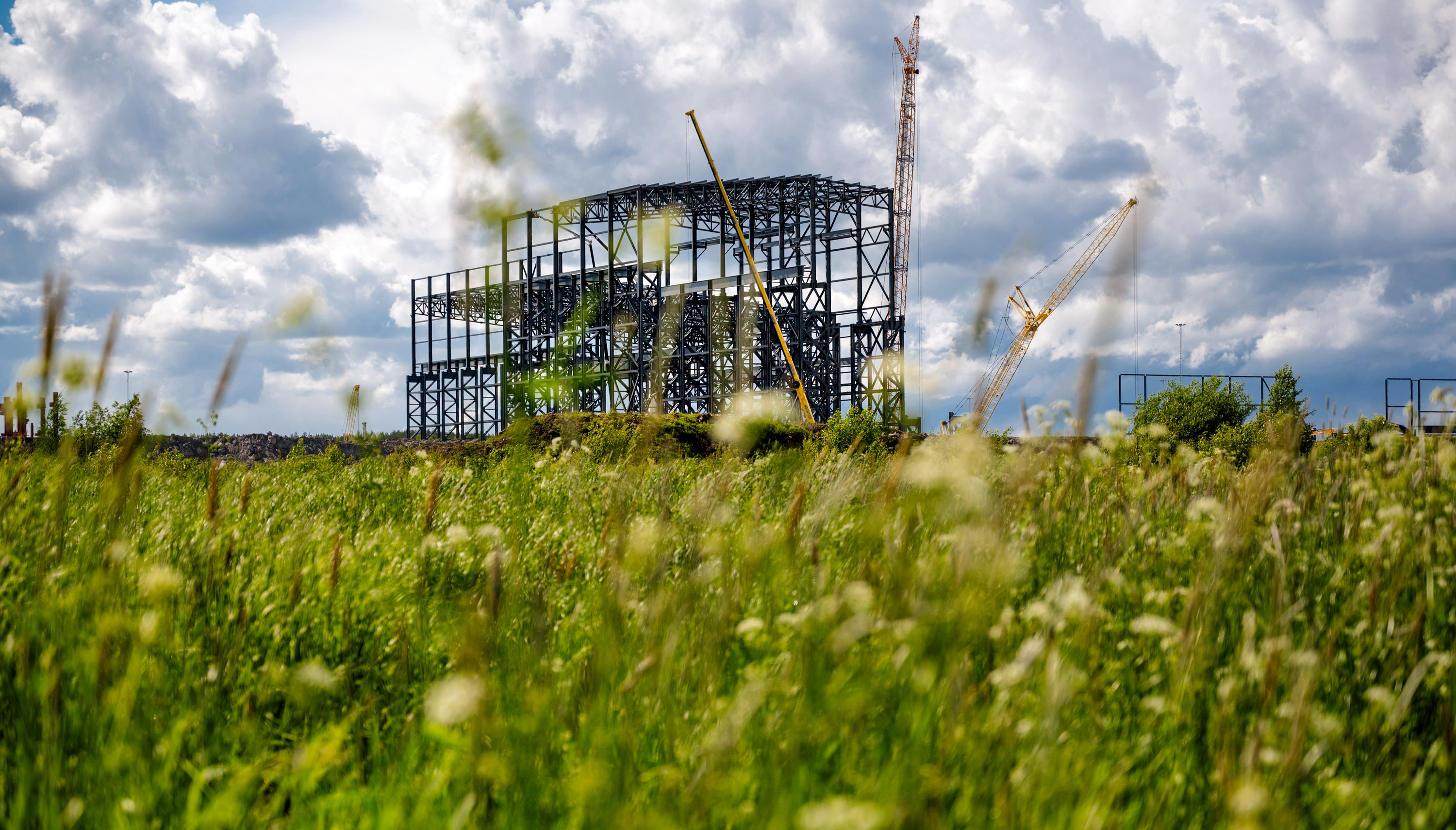 steel frame of a building seen through tall grass