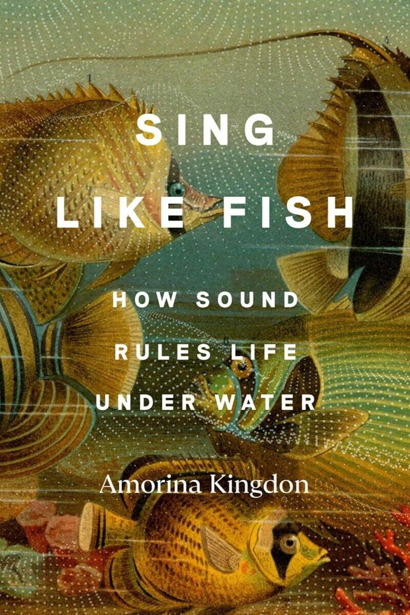 cover of Sing Like Fish