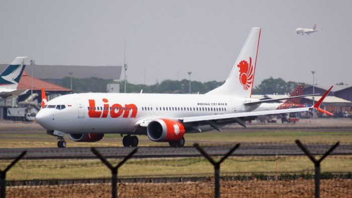 Lion Air 737 Max Grounded