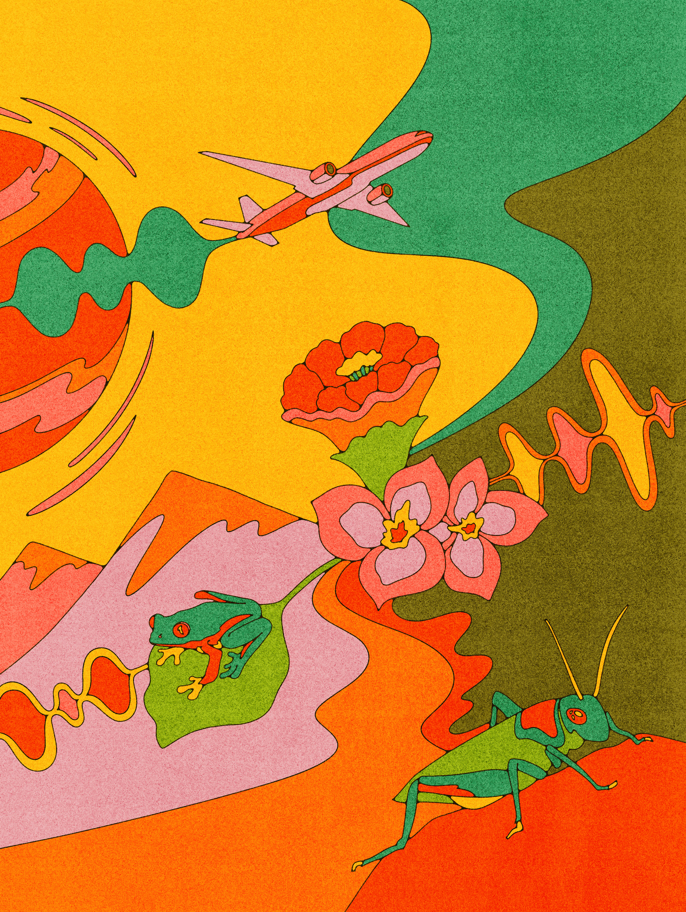 illustration with plane, grasshopper, frog and flowers